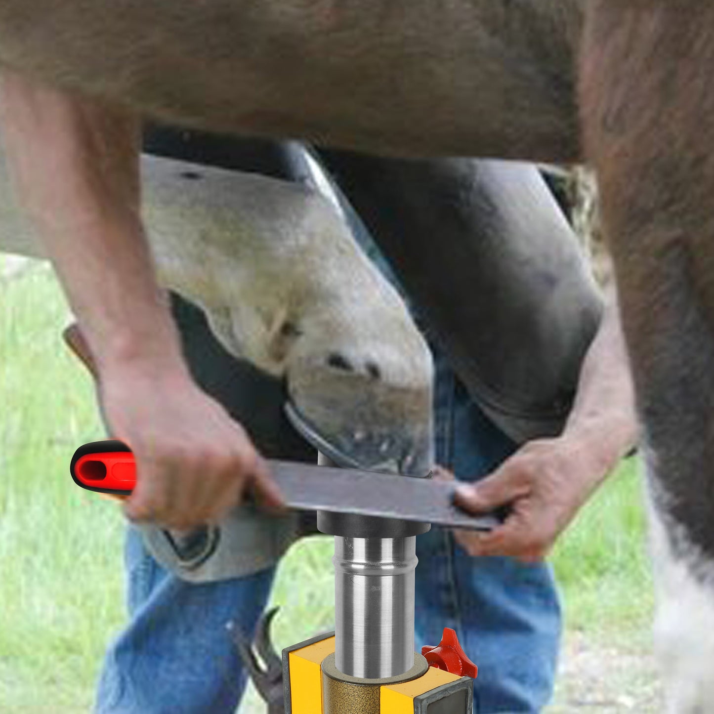 Farrier Hoof Stand.German Technology for Farriers Shoeing Stand, Trimming Hoof Stand for All Horse Sizes Strong 90 lb Magnet, Non-Slip Rubber Base (Pink)