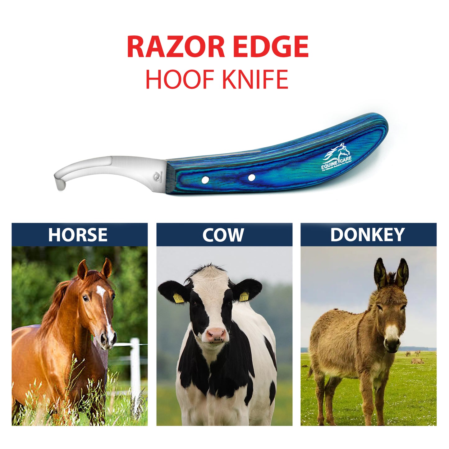 Double-Edge Hoof Knife Right-Handed – Professional Farrier Tool for Horses
