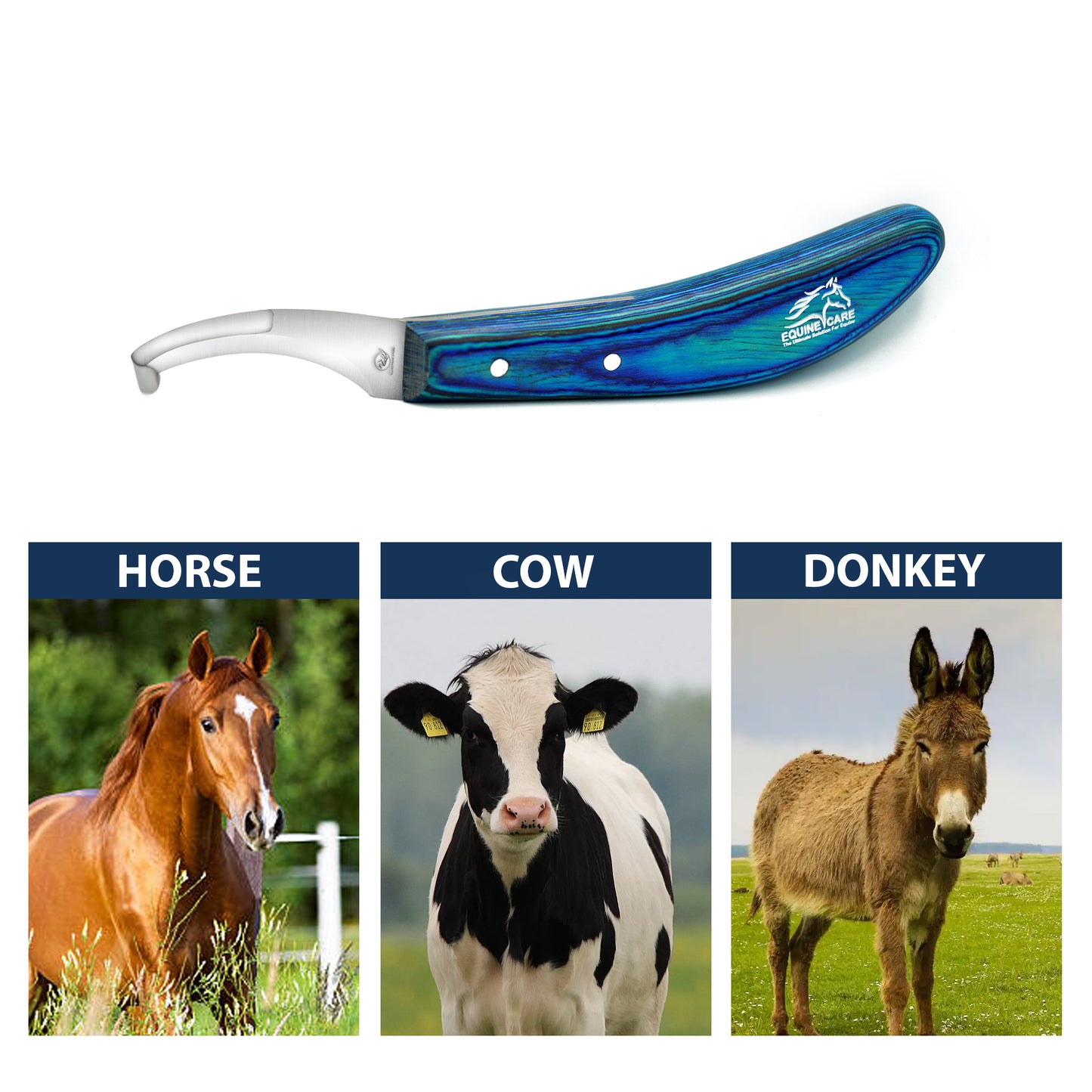 Double-Edge Hoof Knife Right-Handed – Professional Farrier Tool for Horses