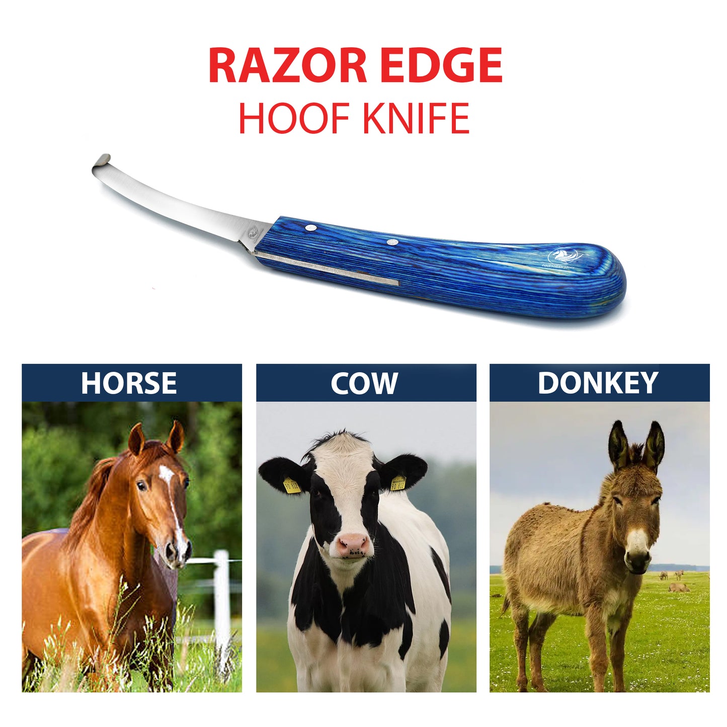 Professional Hoof Knife – Stainless Steel Farrier Tool for Horse Hoof Trimming-Right-Handed