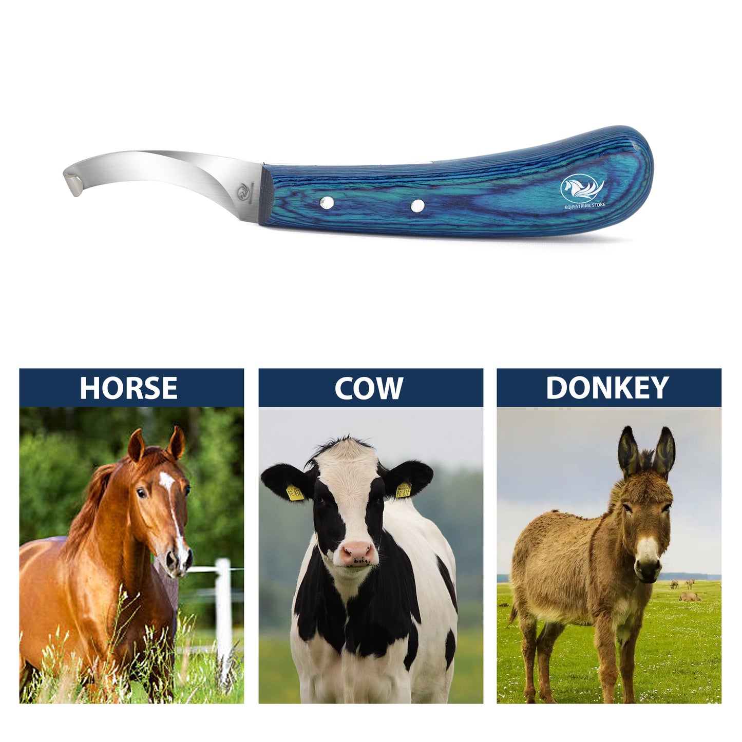Professional Hoof Knife – Stainless Steel Farrier Tool for Horse Hoof Trimming-Right-Handed