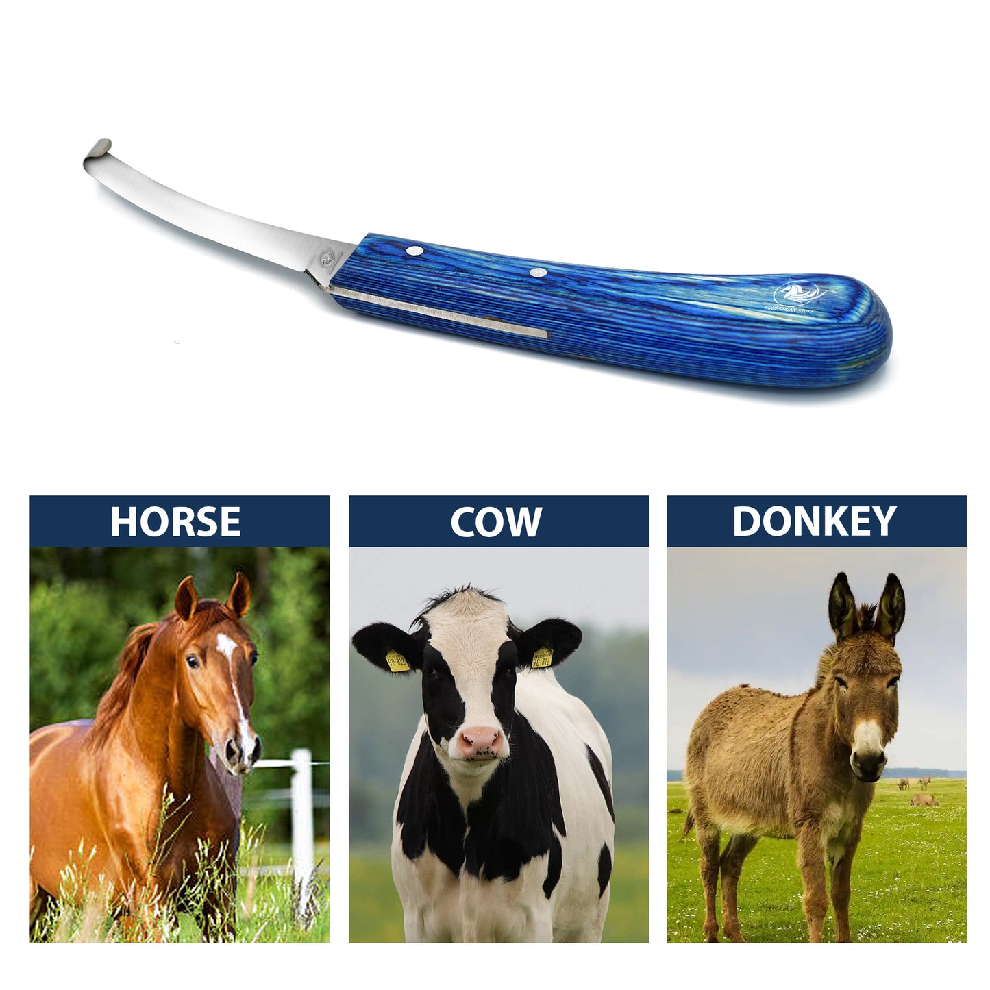 Professional Hoof Knife – Stainless Steel Farrier Tool for Horse Hoof Trimming-Right-Handed