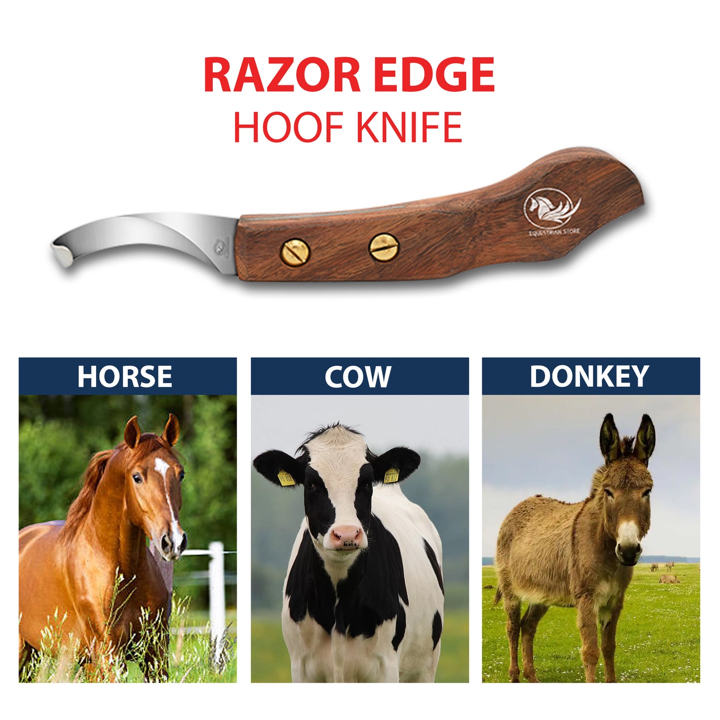 Professional Hoof Knife – Stainless Steel Farrier Tool for Horse Hoof Trimming-Right-Handed