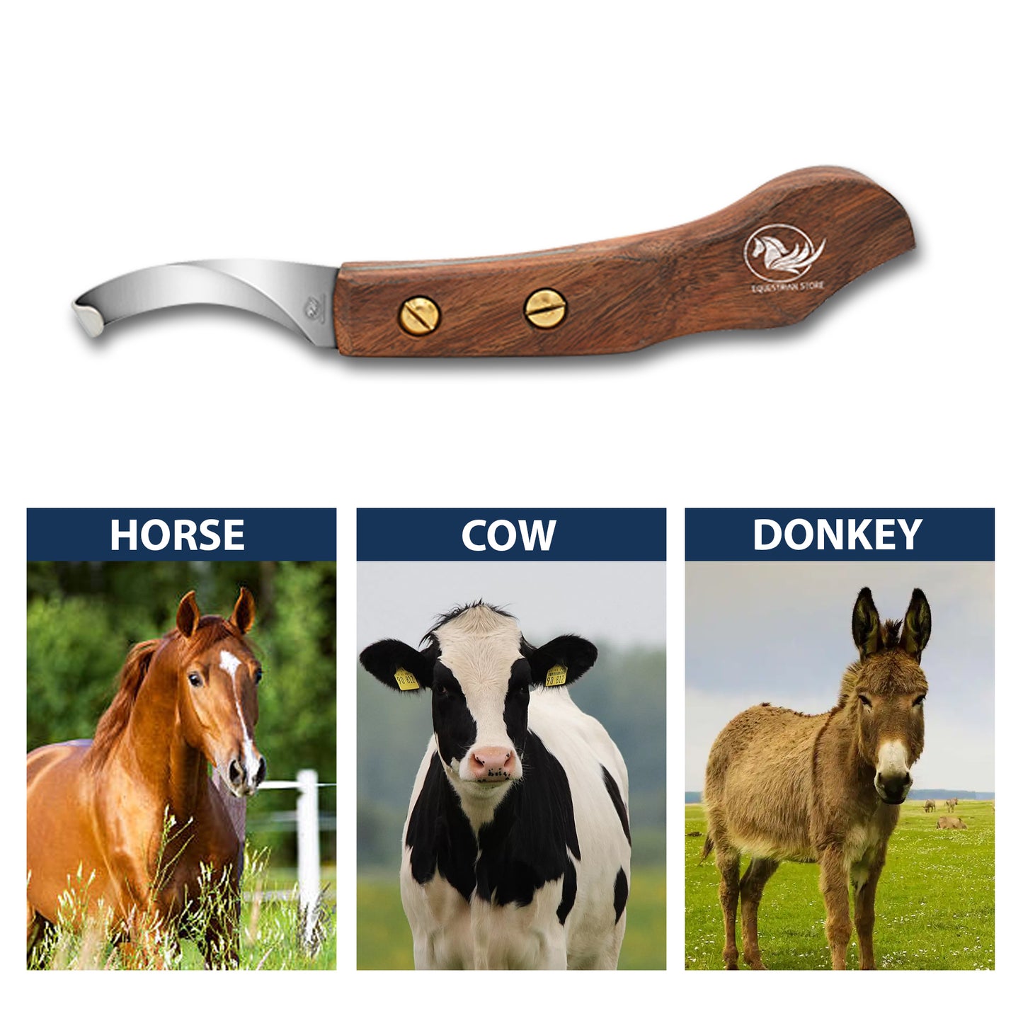 Professional Hoof Knife – Stainless Steel Farrier Tool for Horse Hoof Trimming-Right-Handed