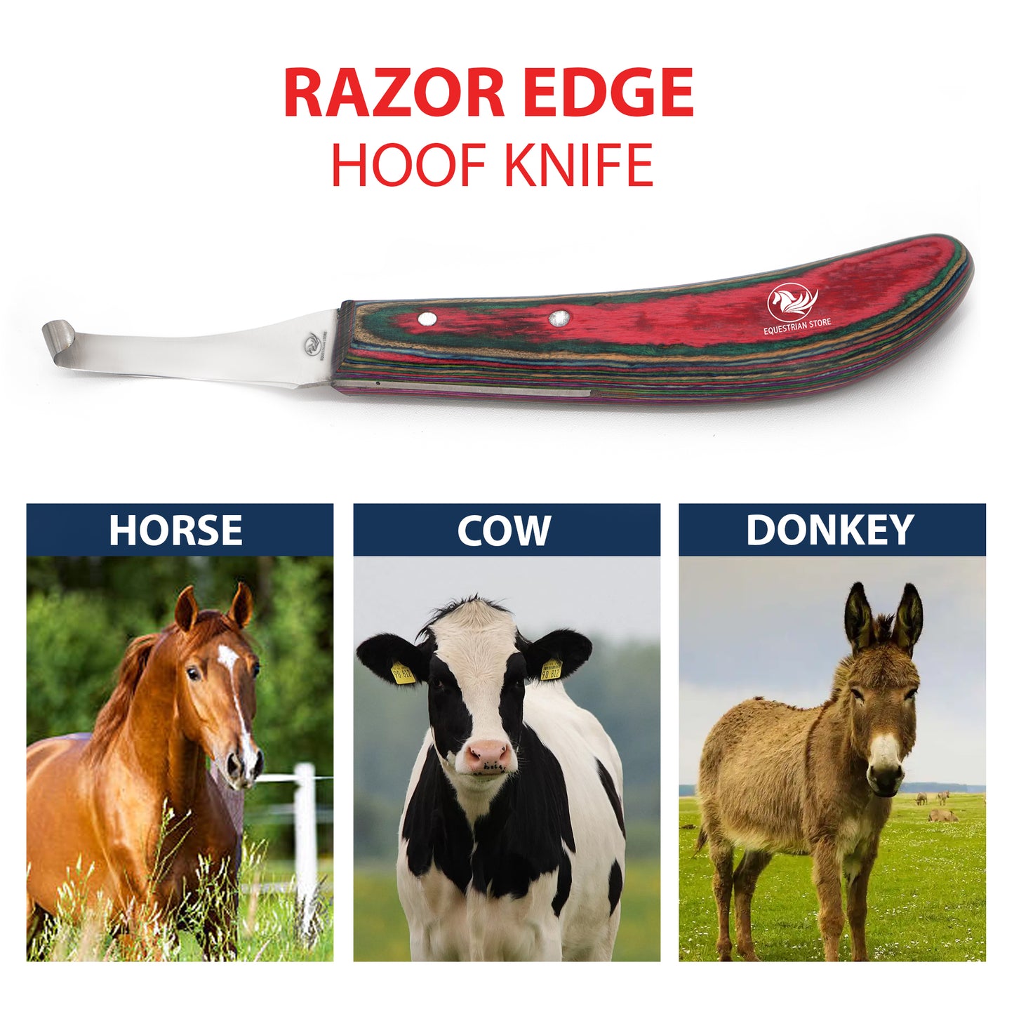 Professional Hoof Knife – Stainless Steel Farrier Tool for Horse Hoof Trimming-Right-Handed