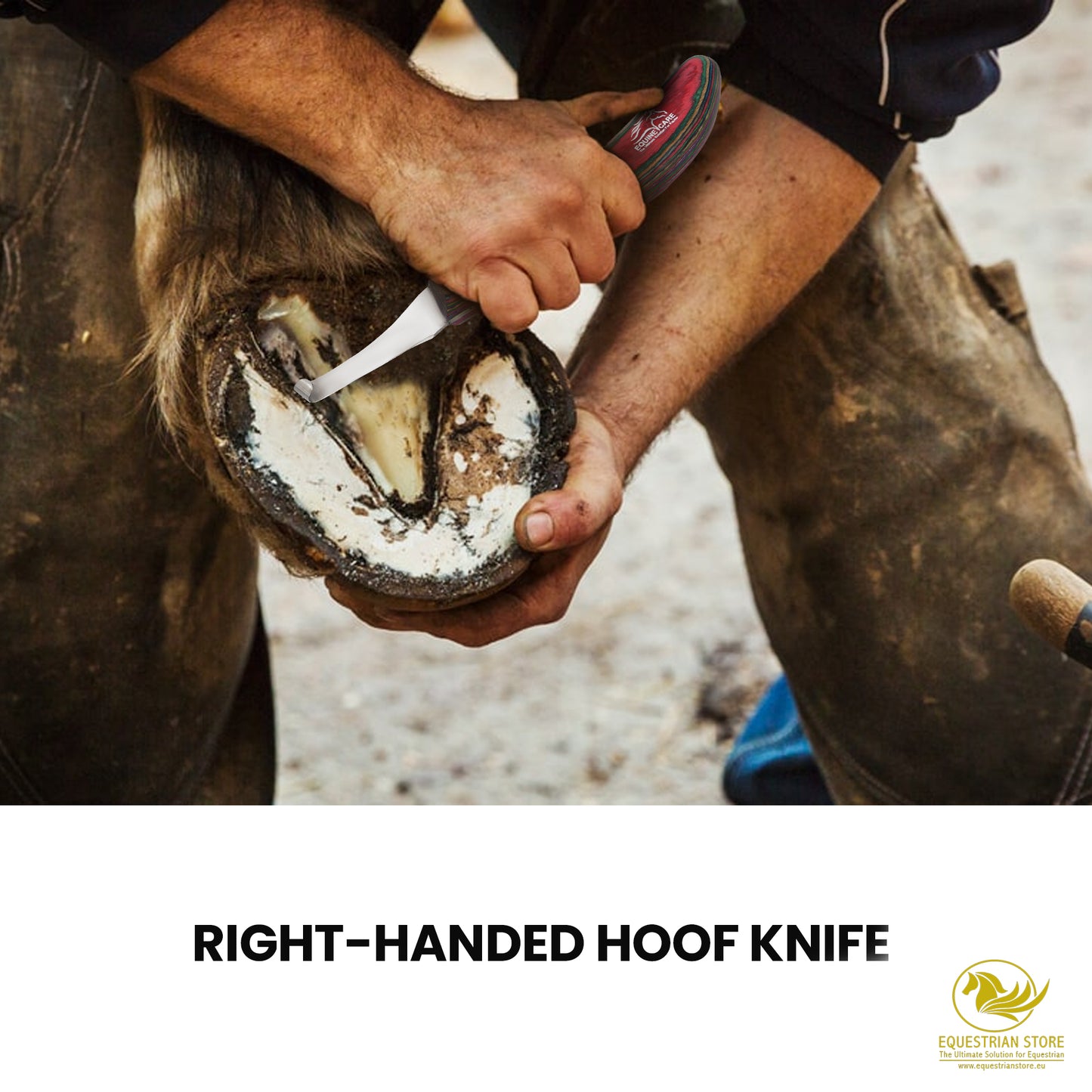 Professional Hoof Knife – Stainless Steel Farrier Tool for Horse Hoof Trimming-Right-Handed